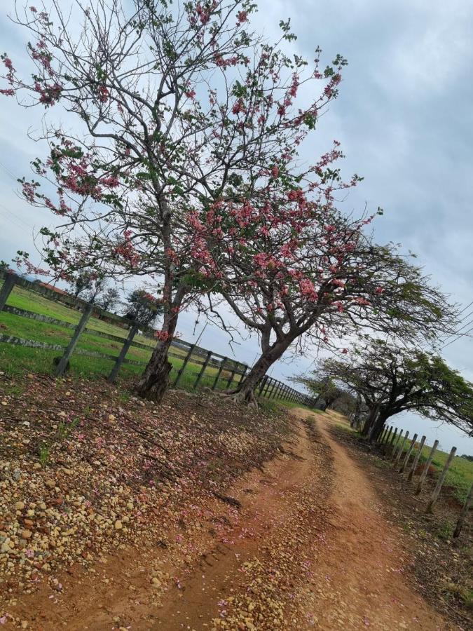 Vila Chacara Jequitiba Itu Exteriér fotografie
